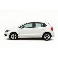 Polo 2009–2017 (Mk5, Typ 6R/6C)