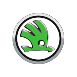 Переходные рамки Skoda