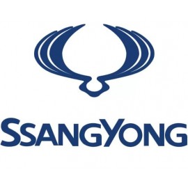Переходные рамки SsangYong