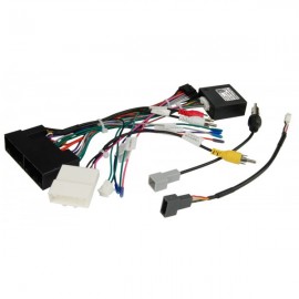 KIA, Hyundai Carav 16-061