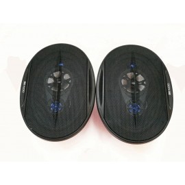 BOSCHMANN BM WJ1-S99V 6x9