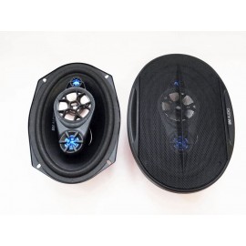 BOSCHMANN BM WJ1-S99V 6x9