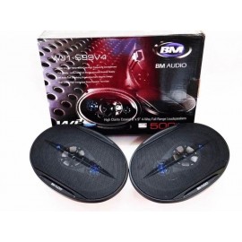 BOSCHMANN BM WJ1-S99V 6x9