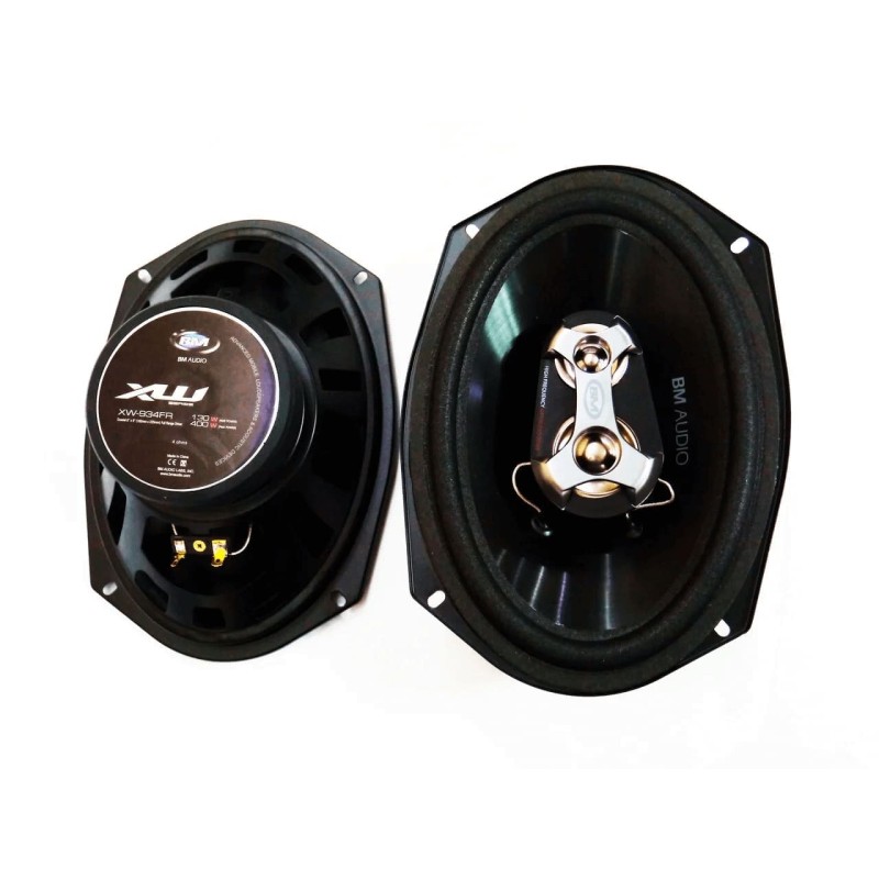 BOSCHMANN BM XW-934FR 6x9