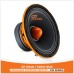 SP-10MM / 300W RMS