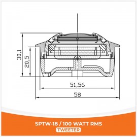 SPTW-18 / 100 WATT RMS