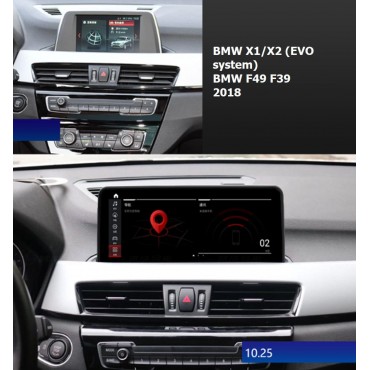 BMW X1 F49, X2 F39 2018 (A55)